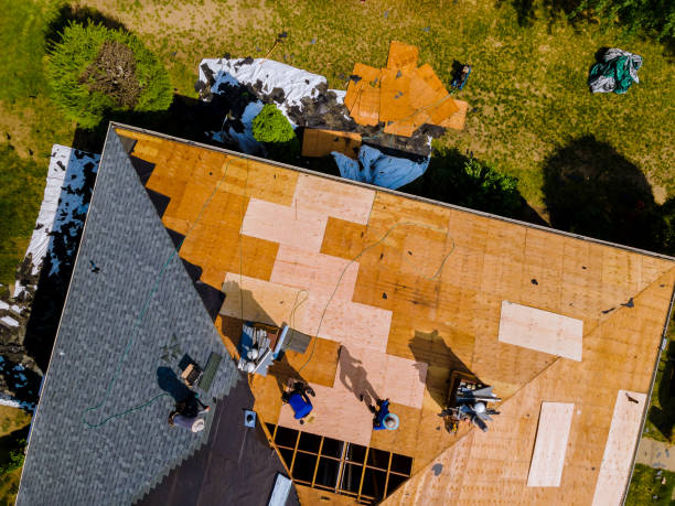 Best Storm Damage Roof Repair  in Keaau, HI