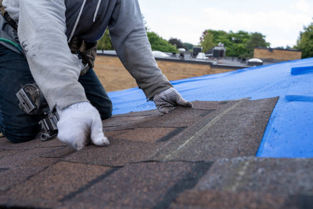 Best Roof Repair Services  in Keaau, HI