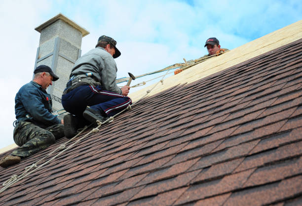Best Roof Restoration Services  in Keaau, HI